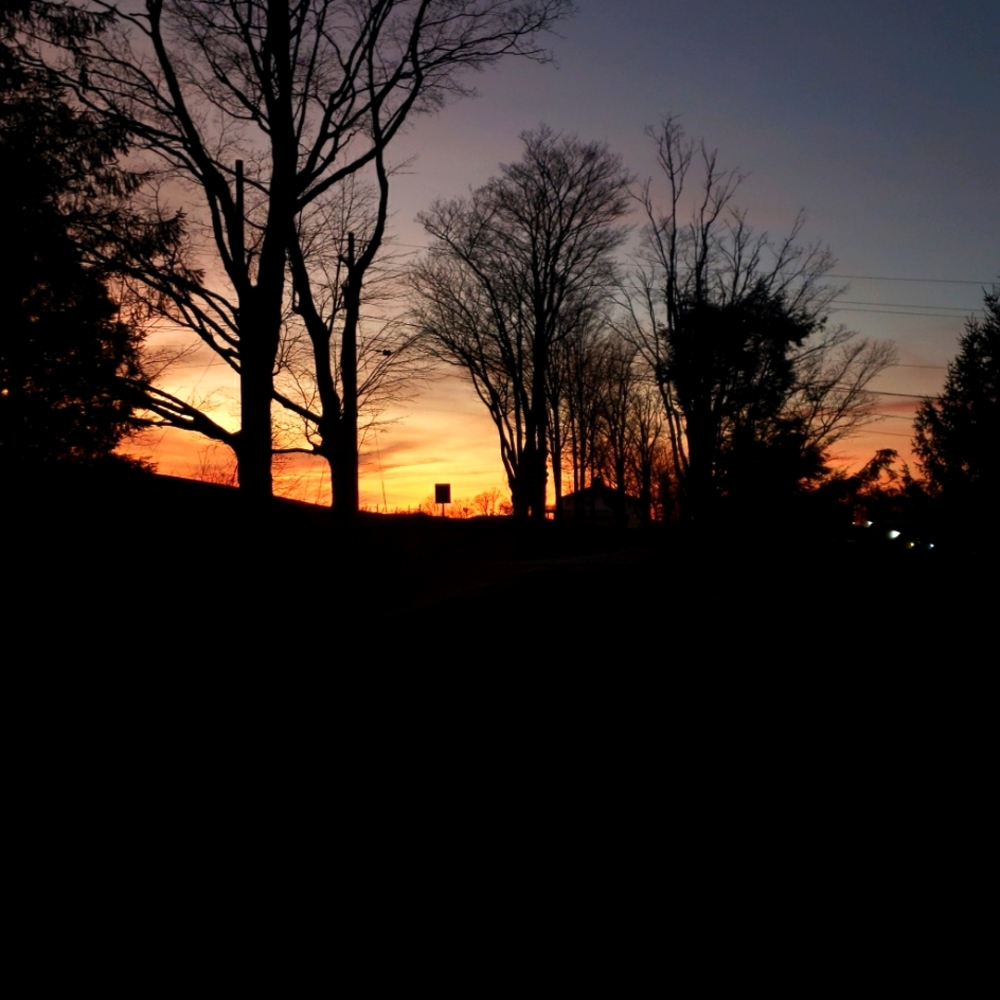 Meet your Posher, Ellen